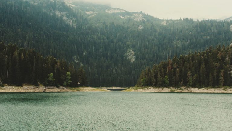 Sequence 01.00_00_08_08.Still014