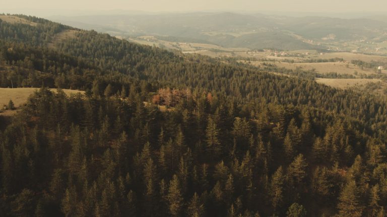 Sequence 01.00_00_28_12.Still067