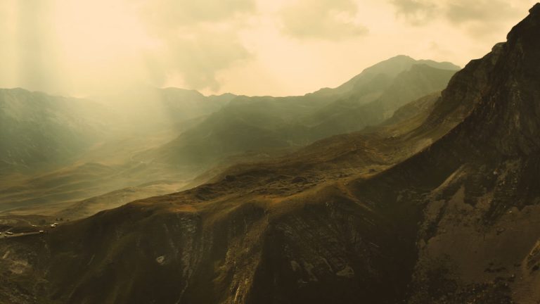 Sequence 01.00_01_17_15.Still022