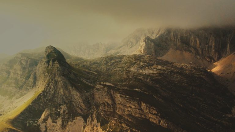 Sequence 01.00_01_38_04.Still024