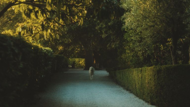 spotic 4 min final.00_00_28_07.Still016