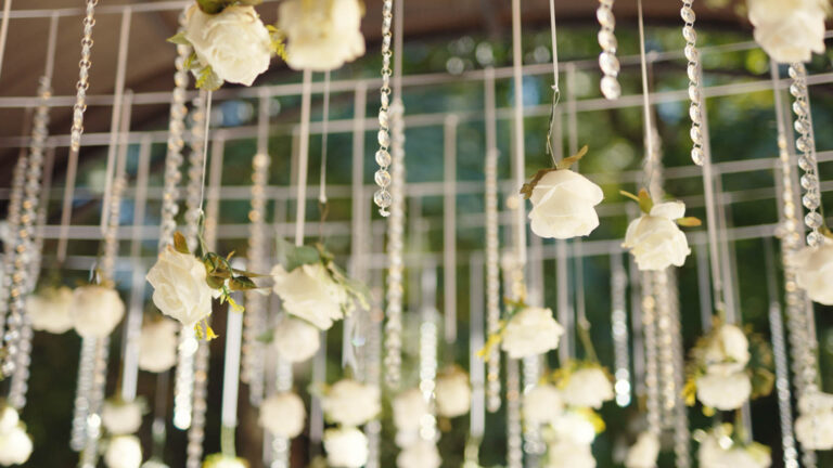 spot v2.00_00_27_11.Still004