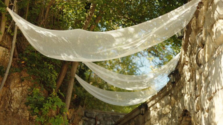 spot v2.00_01_12_23.Still011