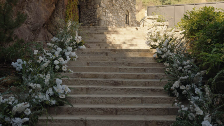 spot v2.00_01_20_15.Still012