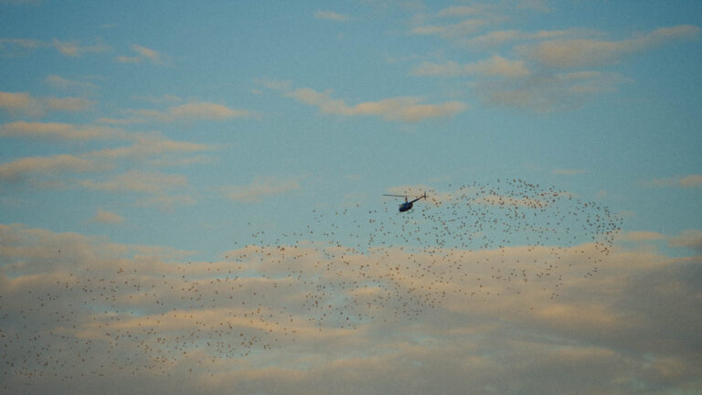 v.03.00_00_25_08.Still011