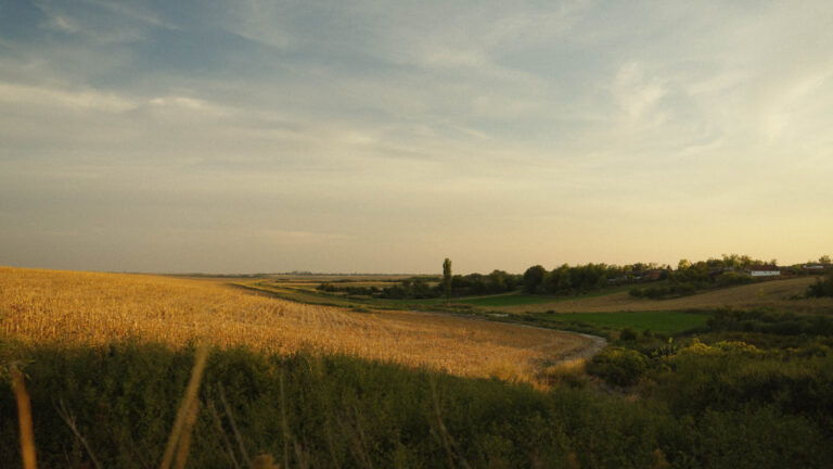 spot.00_03_56_14.Still022