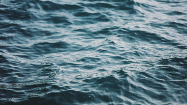 spot v.02.00_00_12_20186.Still002