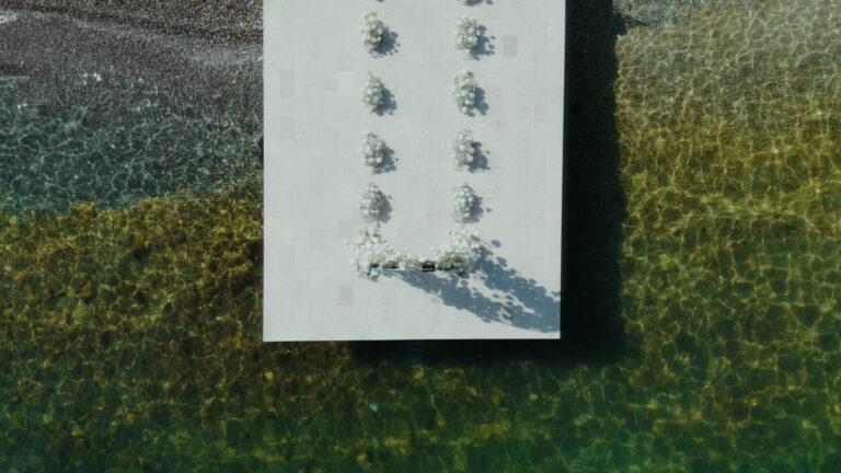 spot v.02.00_00_18_01554.Still004