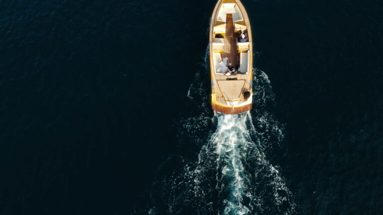 spot v.02.00_00_53_27130.Still014