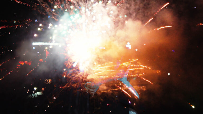 spot v.02.00_03_34_21.Still066